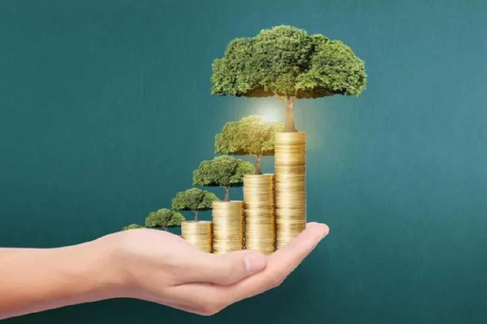 台州、椒江、黄岩民间空放私人借款全天候专业服务